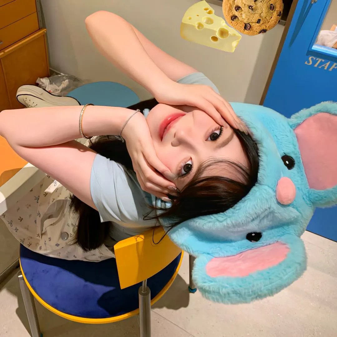 寻找神话之鸟